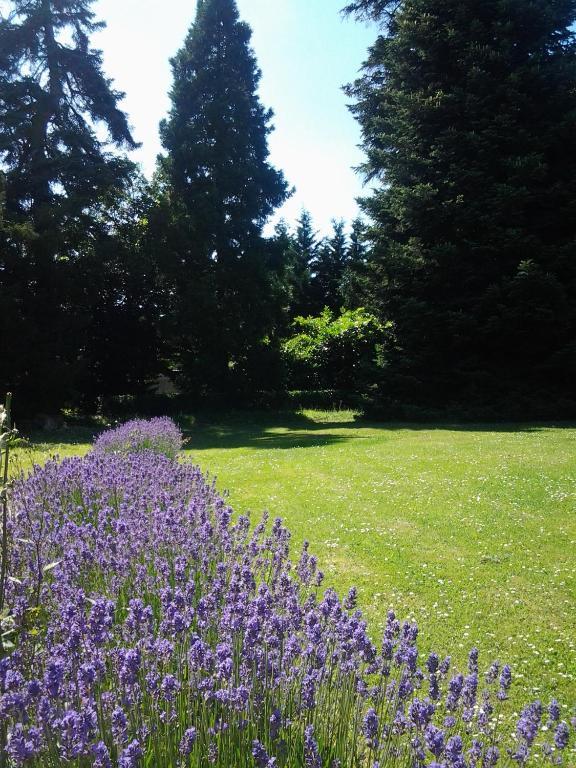 La Renaudiere Chenonceaux Eksteriør bilde