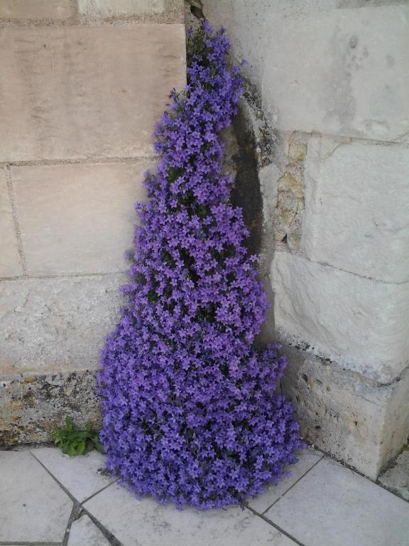 La Renaudiere Chenonceaux Eksteriør bilde